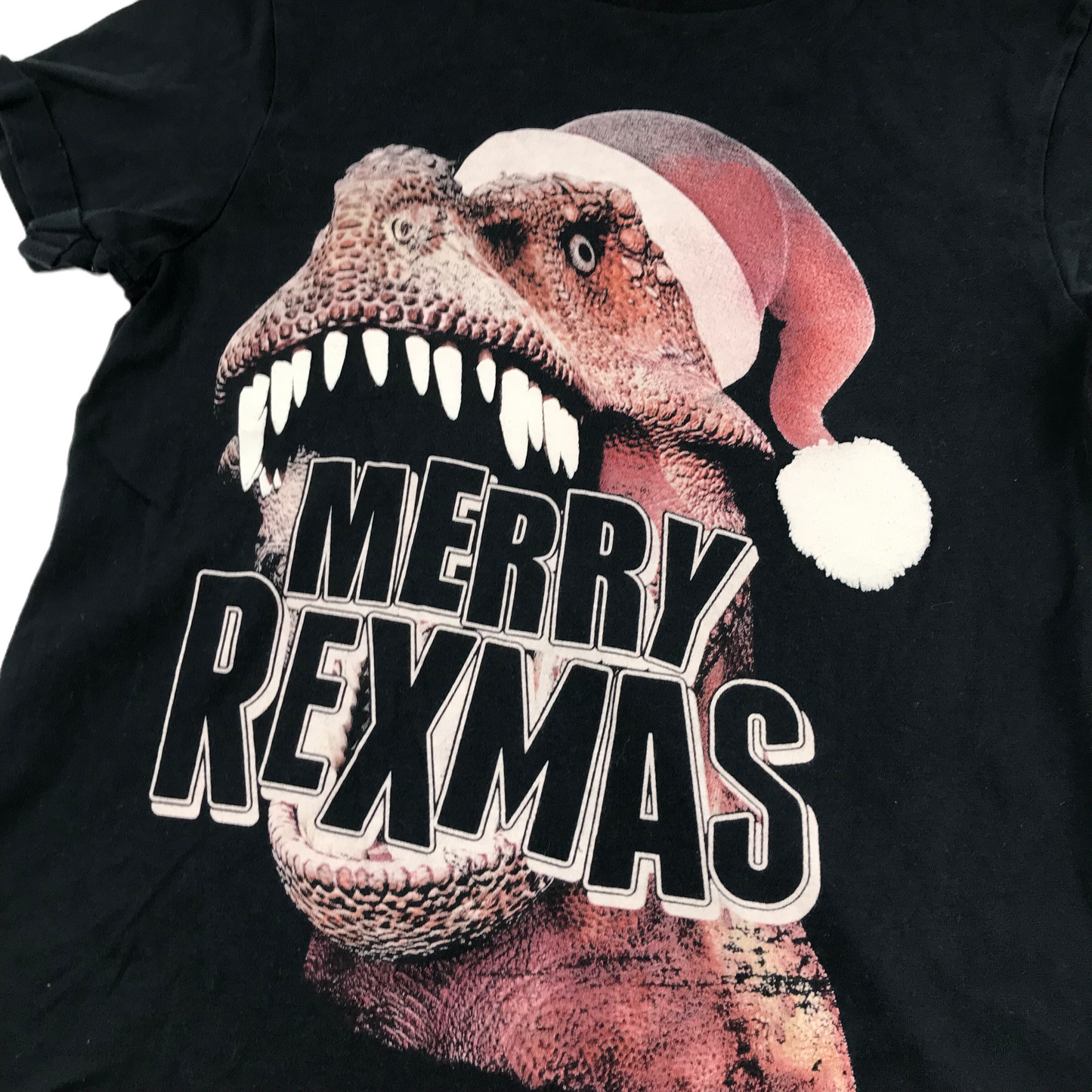 George Black T-Rex Christmas T-shirt Age 10