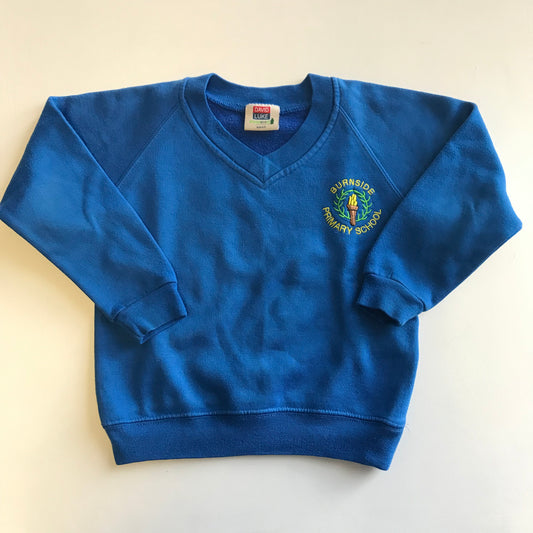 Burnside Primary Royal Blue Sweatshirt V-neck