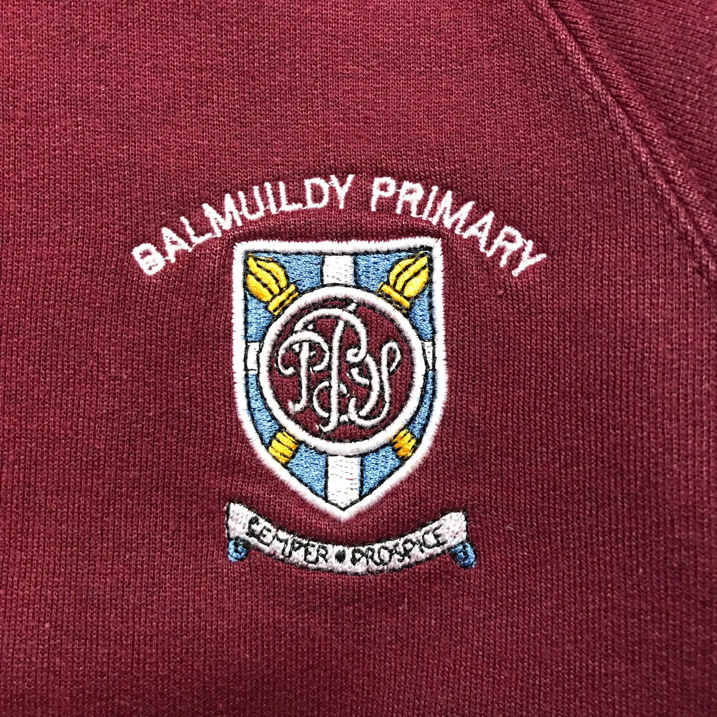 Balmuildy Primary Burgundy Crewneck Sweatshirt