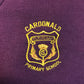 *Cardonald Primary Burgundy V-neck Sweatshirt