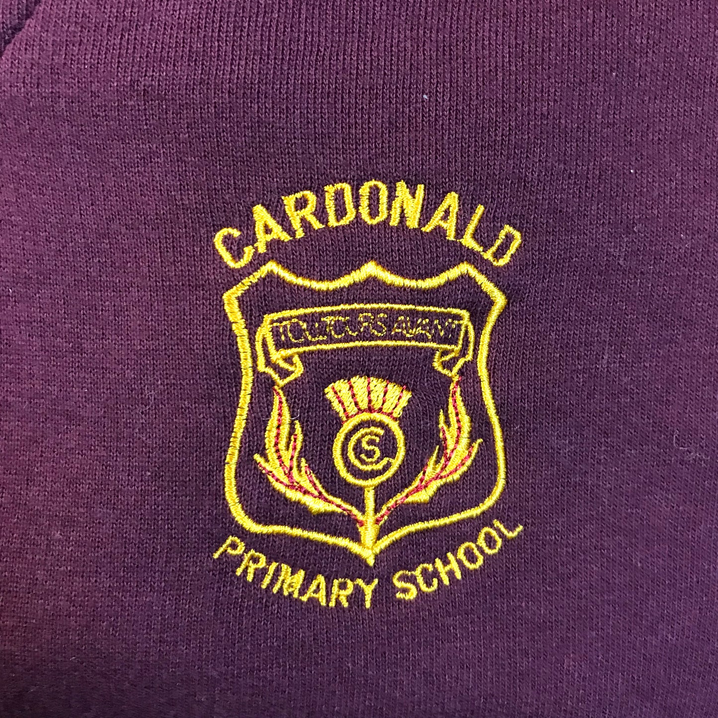 Cardonald Primary Burgundy V-neck Sweatshirt