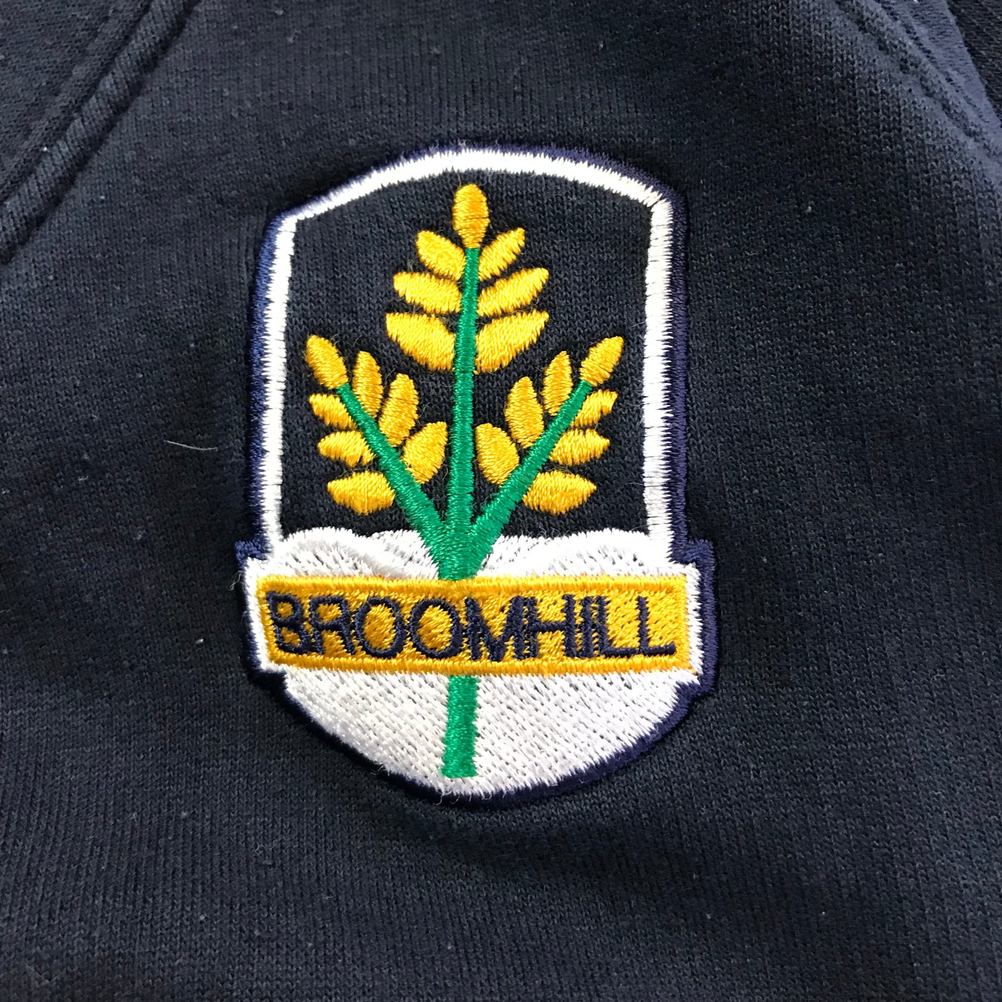 Broomhill Primary Navy V-neck Sweatshirt