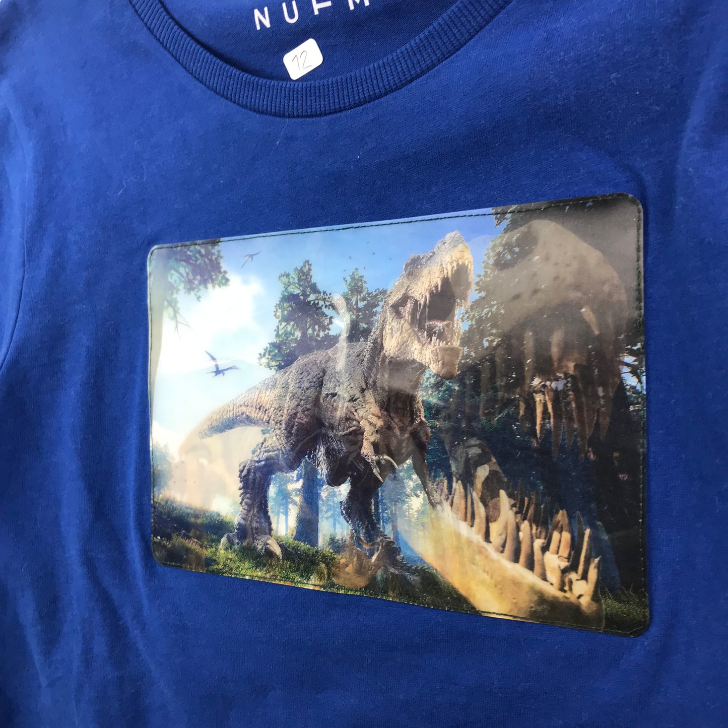 Nutmeg Royal Blue Dinosaur Hologram T-shirt Age 12