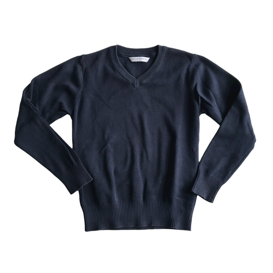 Navy Blue School V-neck Jumper