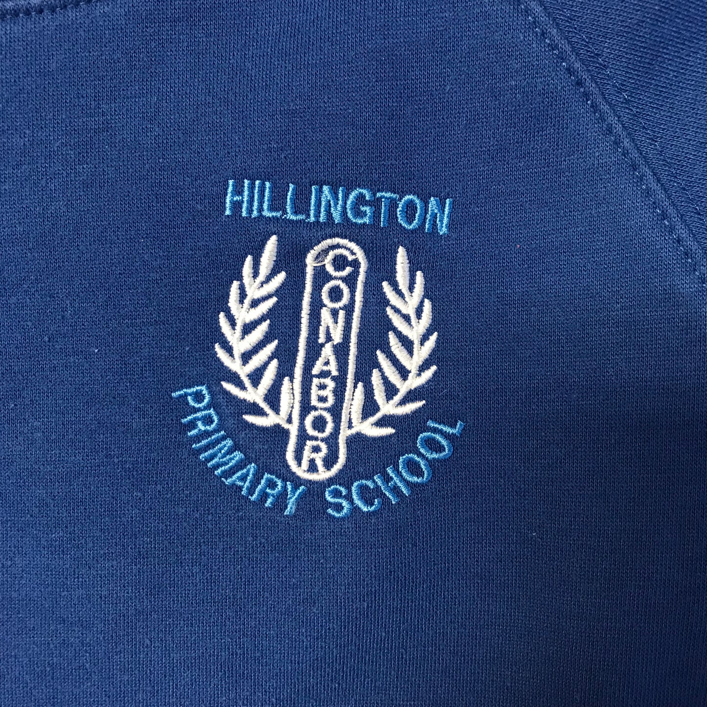 Hillington Primary Royal Blue Crewneck Jersey